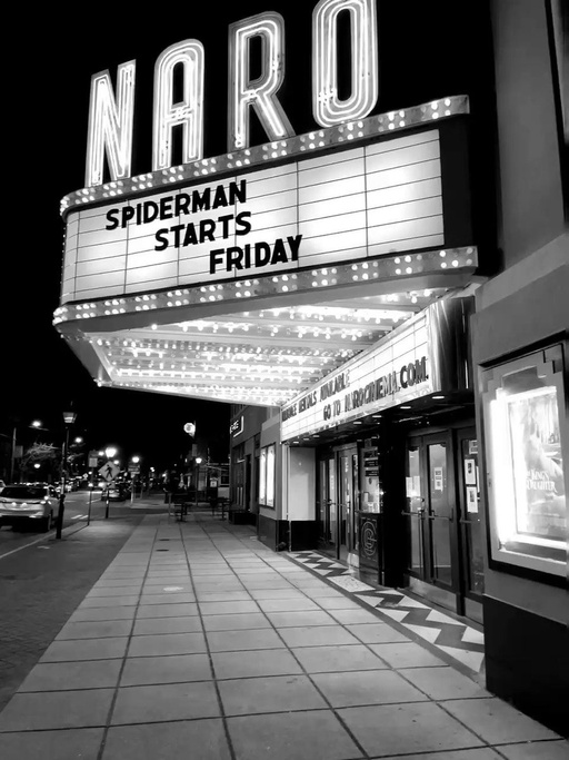Naro Expanded Cinema